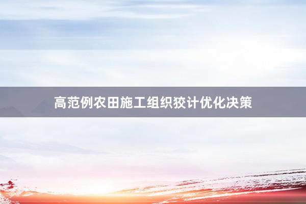 高范例农田施工组织狡计优化决策
