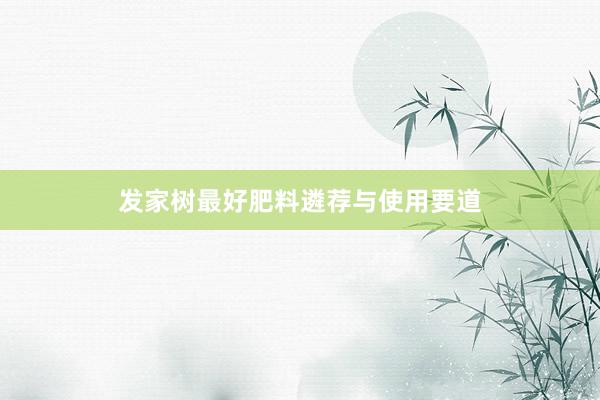 发家树最好肥料遴荐与使用要道